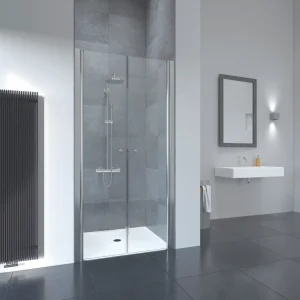 Flair Frameless Saloon Door